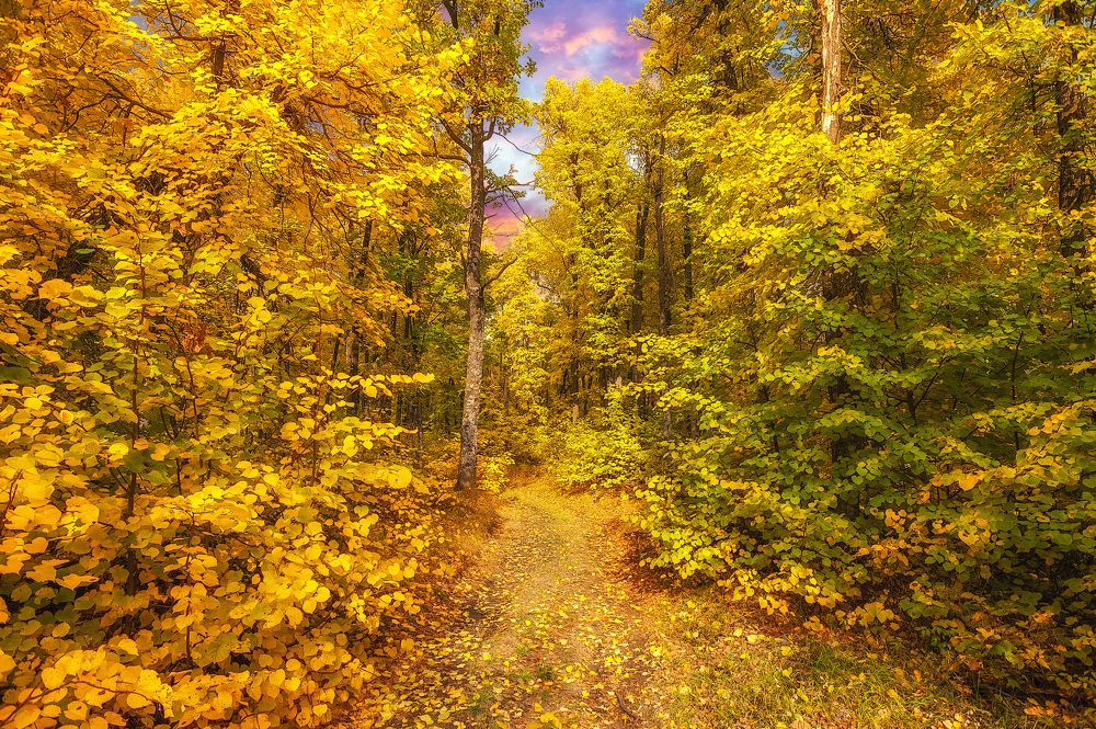 Октябрь прекрасен, быть может, прекраснее всех месяцев года, даже мая. Май мучает надеждой, обещаниями, которые никогда не сбываются, октябрь ничего не обещает, не даёт и тени надежды, он весь в себе.