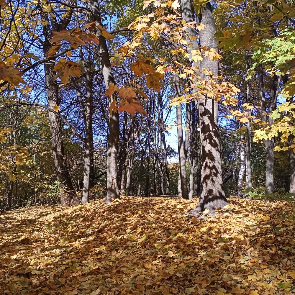 Photograph by Анна Анна