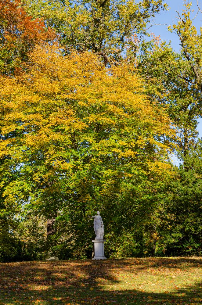 Photograph by Oleg Yashin