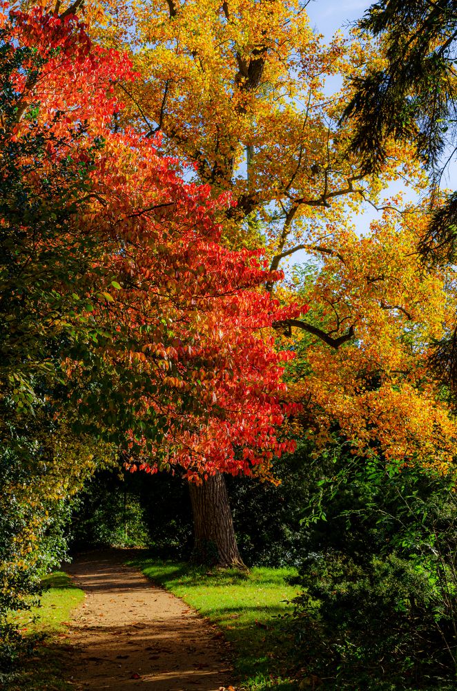 Photograph by Oleg Yashin