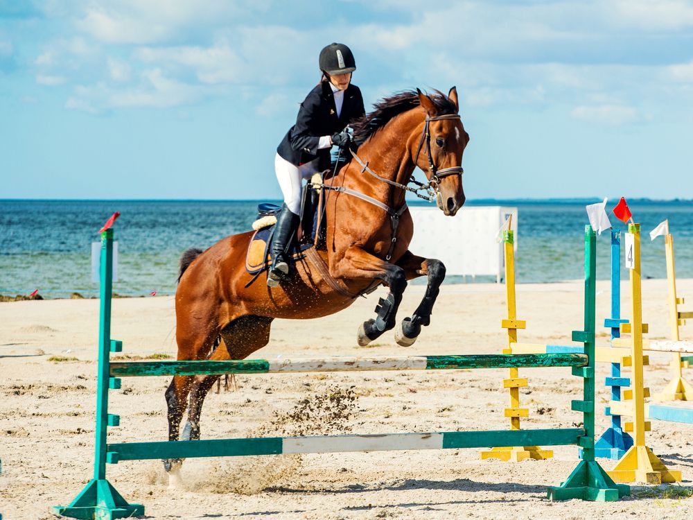 Photograph by Владимир Харчиков