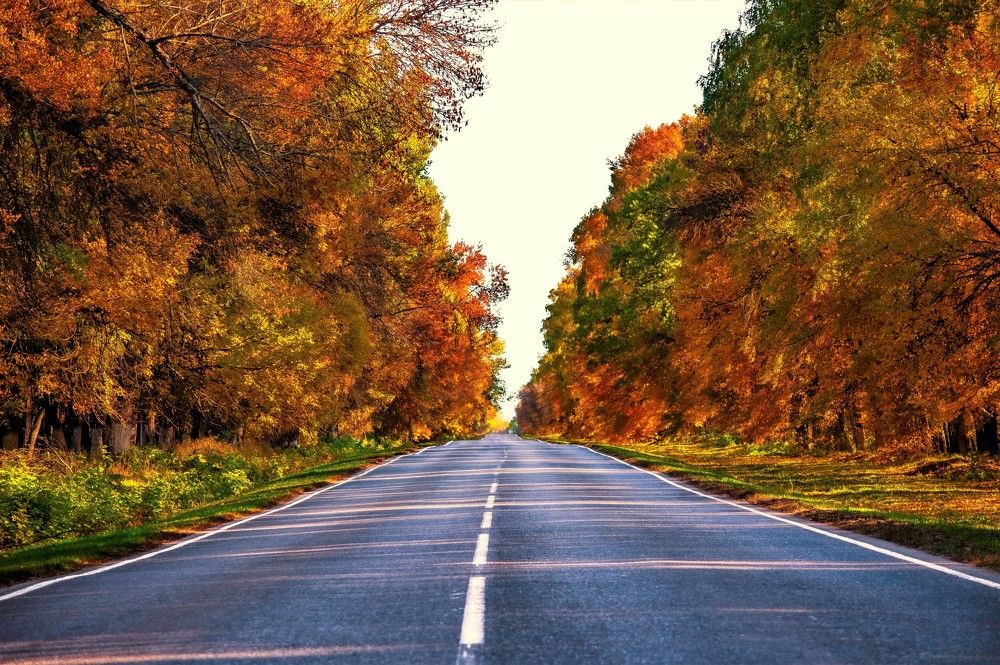 Photograph by Алексей Сиваков