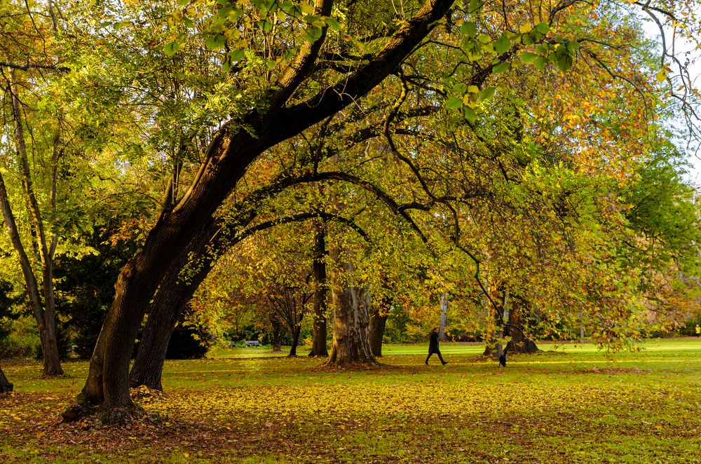 Photograph by Oleg Yashin