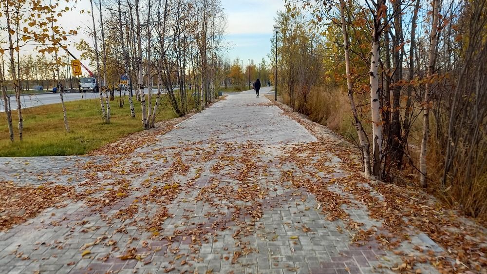 Фотография автора Евгения Зайцева