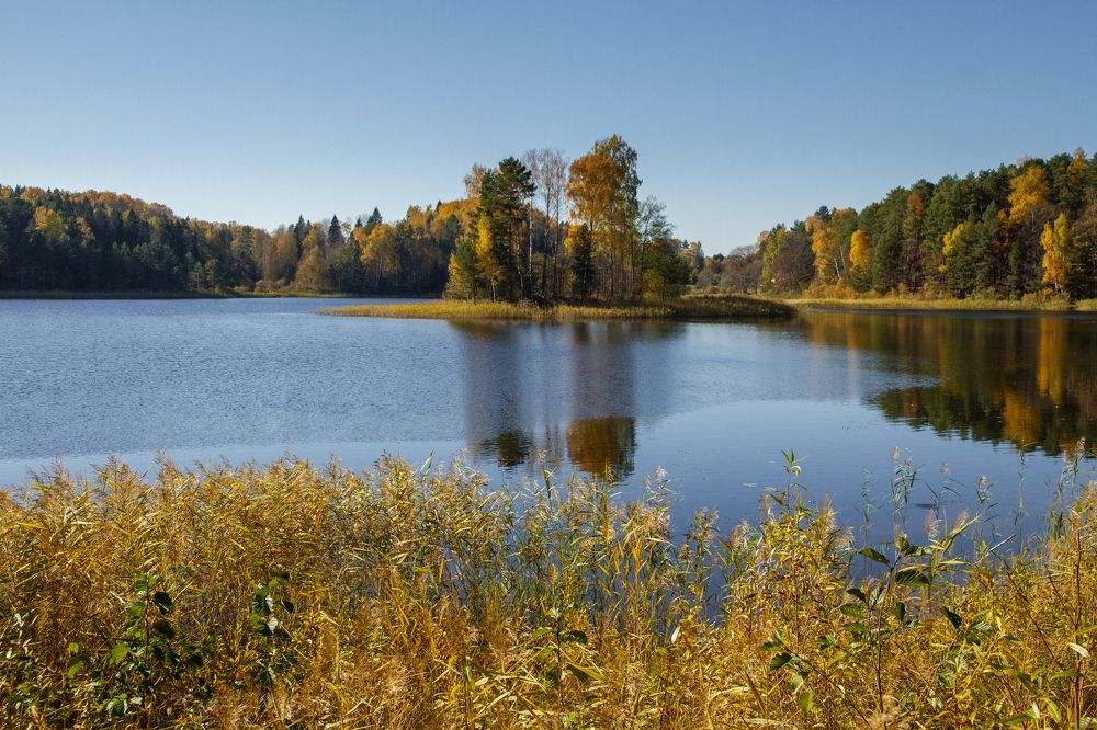 Photograph by Vladlen