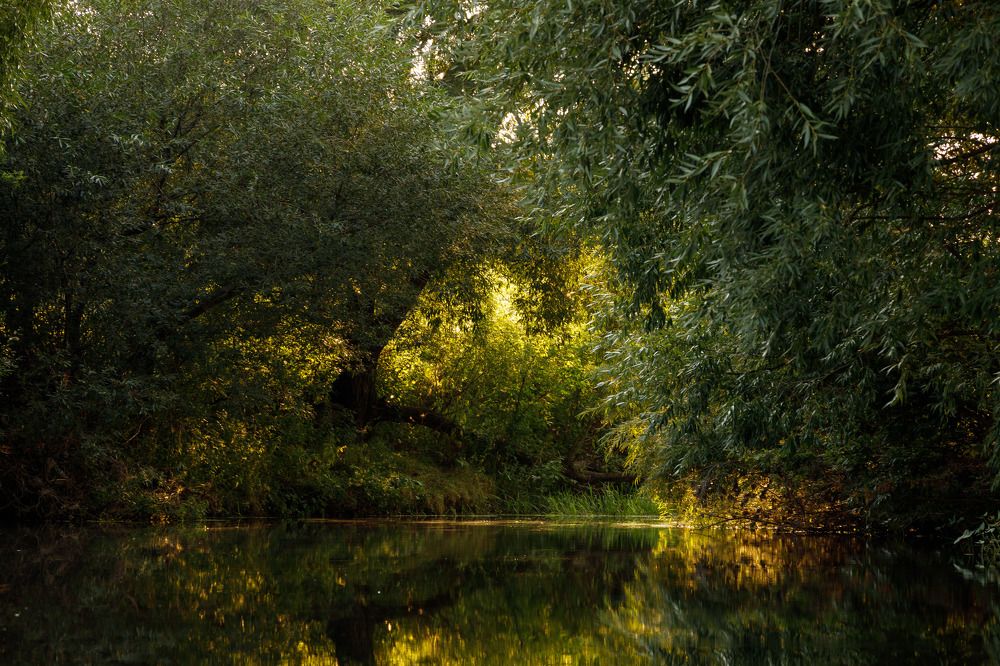 Photograph by Фёдор Передиреев