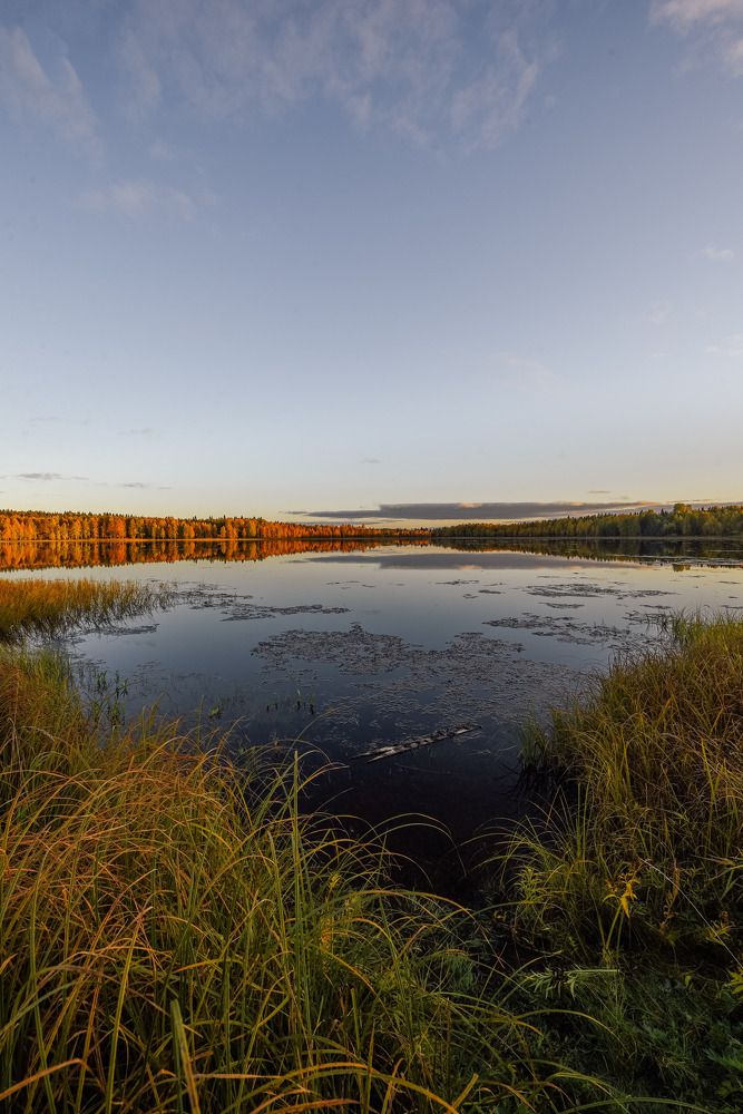 Photograph by Ekaterina Krylova