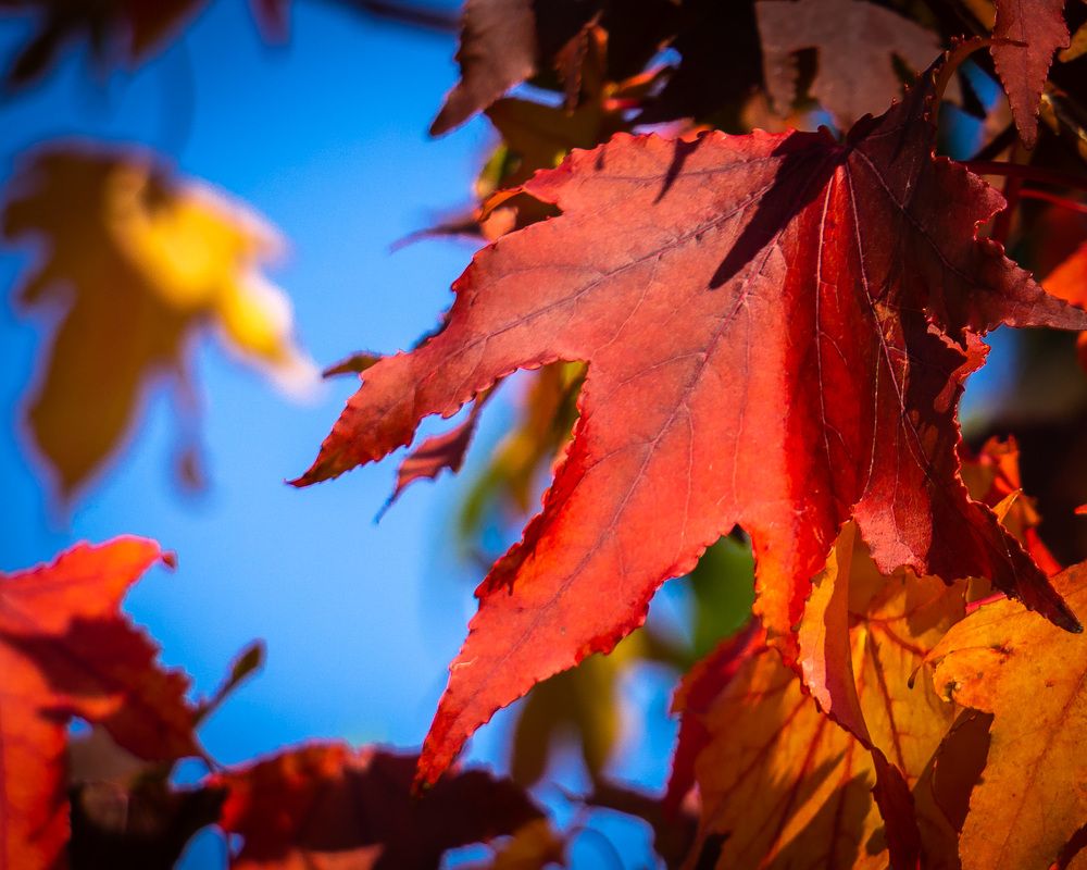 Photograph by Юрий Можейко