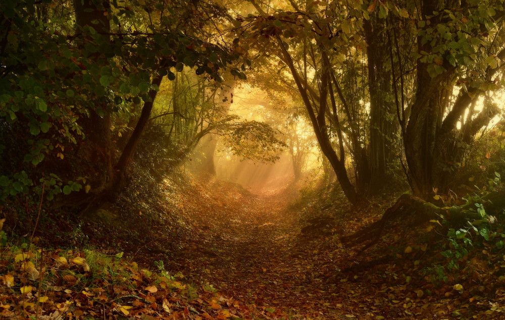 Photograph by Elena Wymann