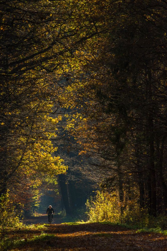 Photograph by Krzysztof Bozalek