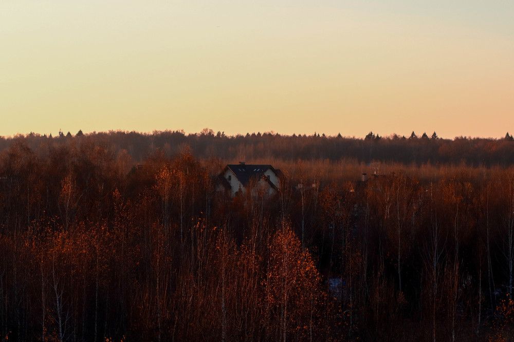 Photograph by Дмитрий Завьялов