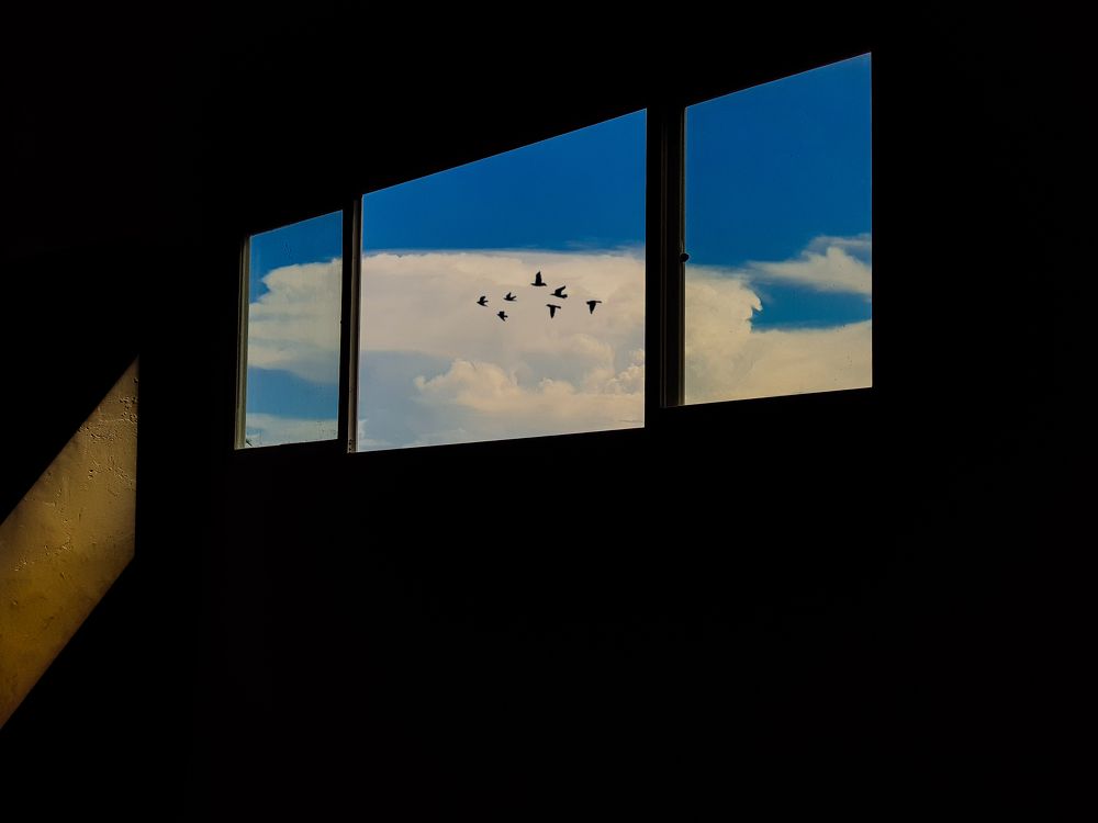 Photograph by Meryll Jo Rado