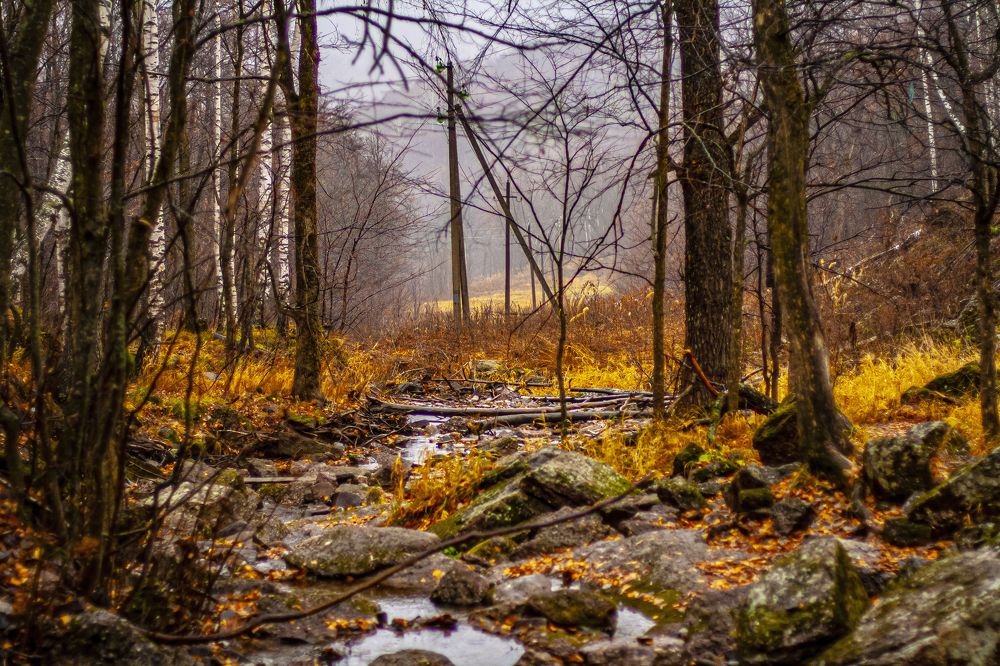 Photograph by Азамат Алпаров