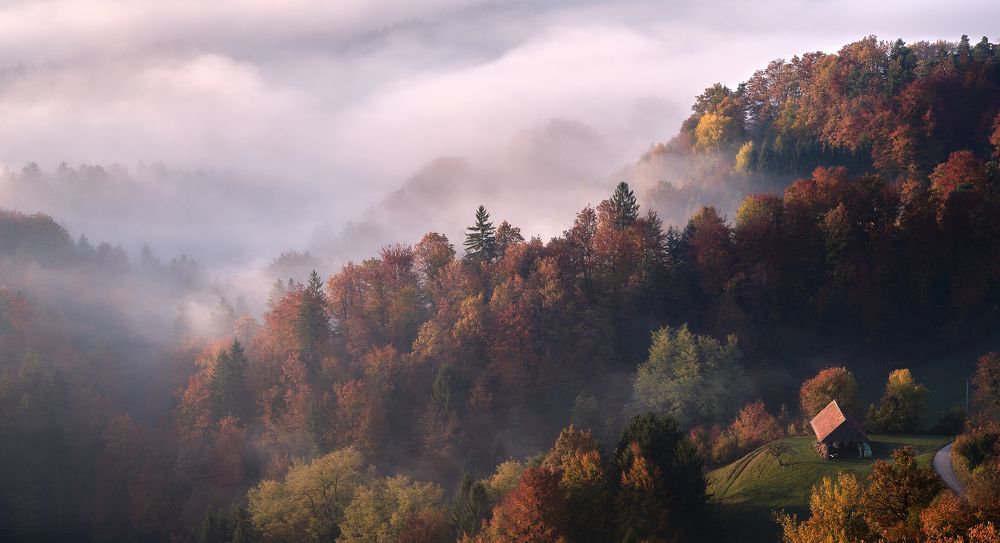 Photograph by Davor Kosec