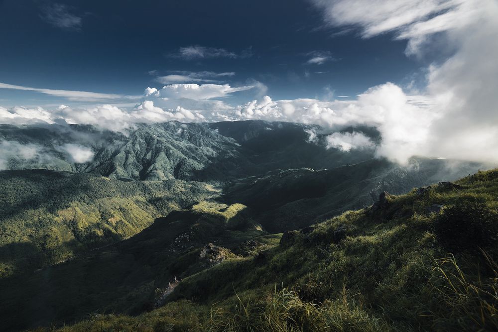 Photograph by Niranjan Baishya