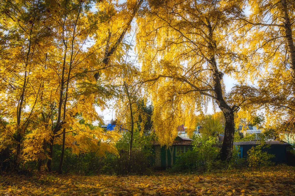 Photograph by Рымаров Александр