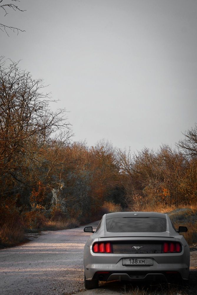 Photograph by Екатерина Гордеева