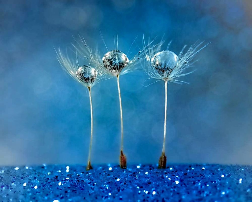 Photograph by Людмила Коробицына