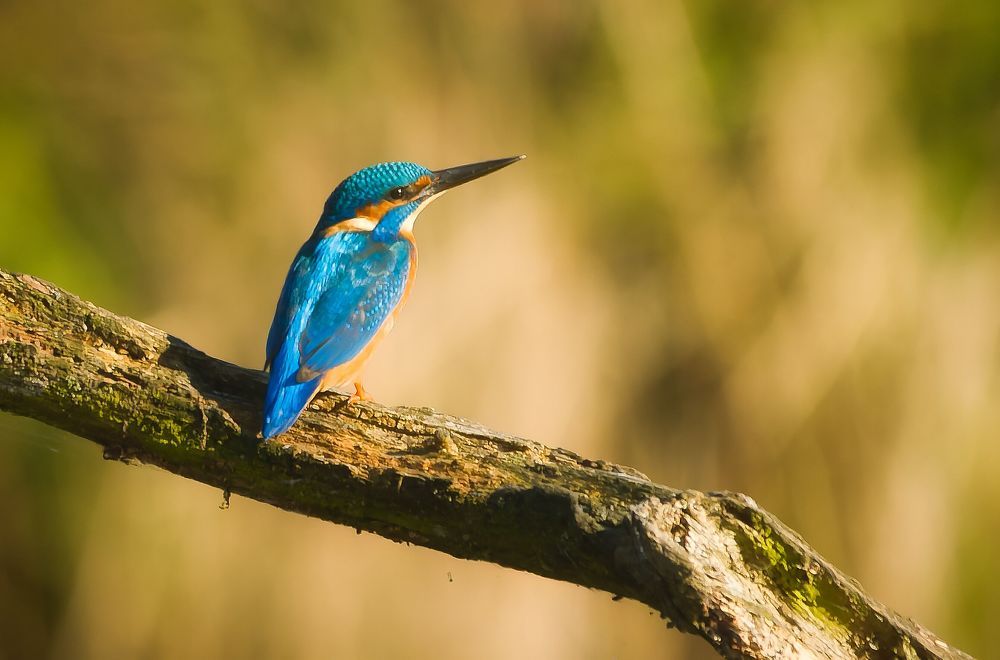 Photograph by Wendy Vanhoudt