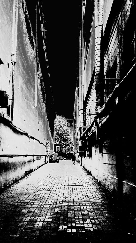 Photograph by Аркадий Попов