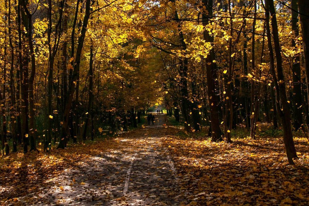 Фотография автора Ольга Белоусова