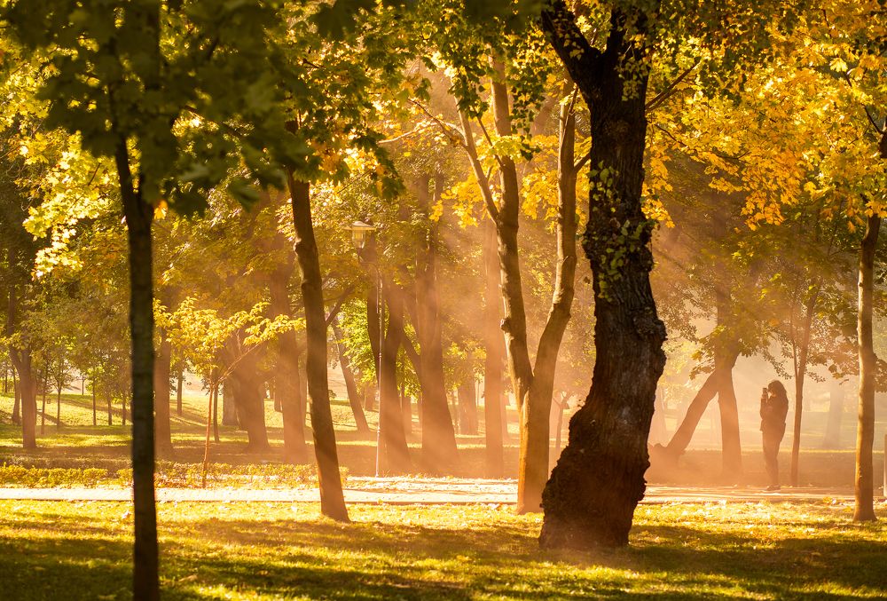 Photograph by Анна Малютина