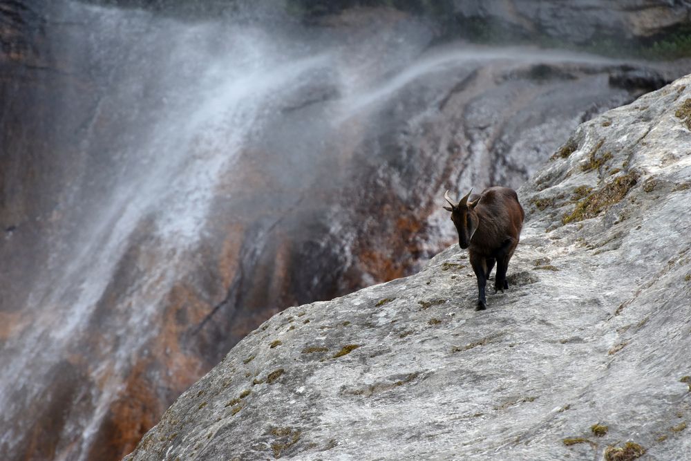 Photograph by Наталья Ляшенко