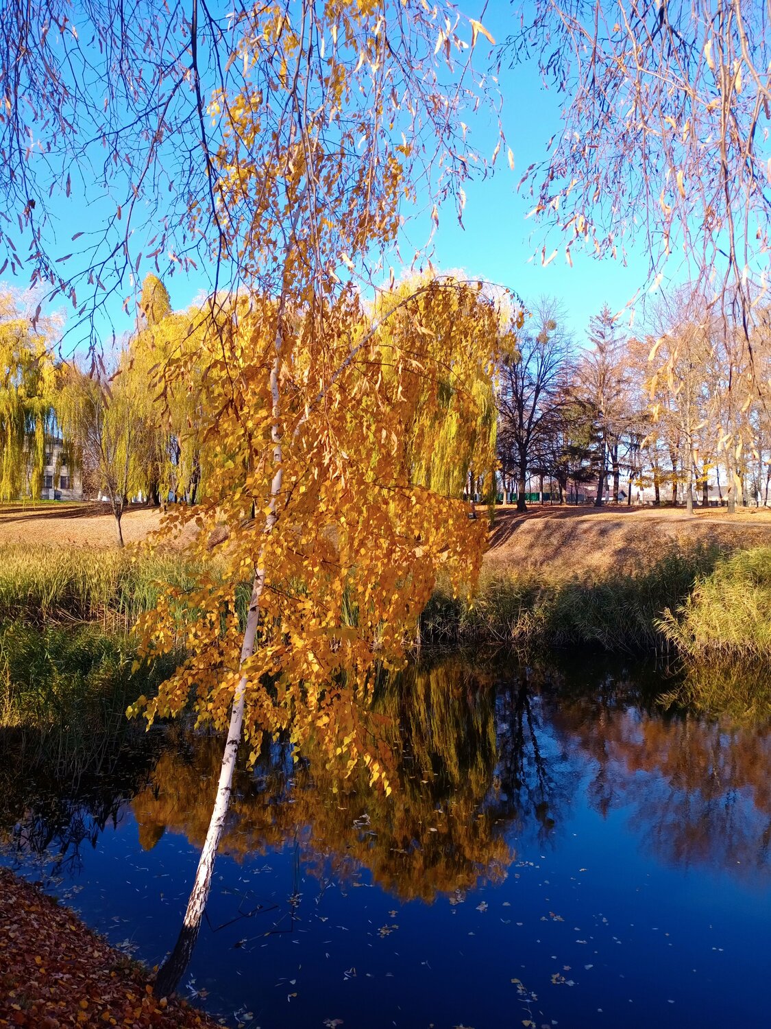 Photo #6667627