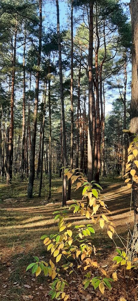 Photograph by Марийона Савоненко