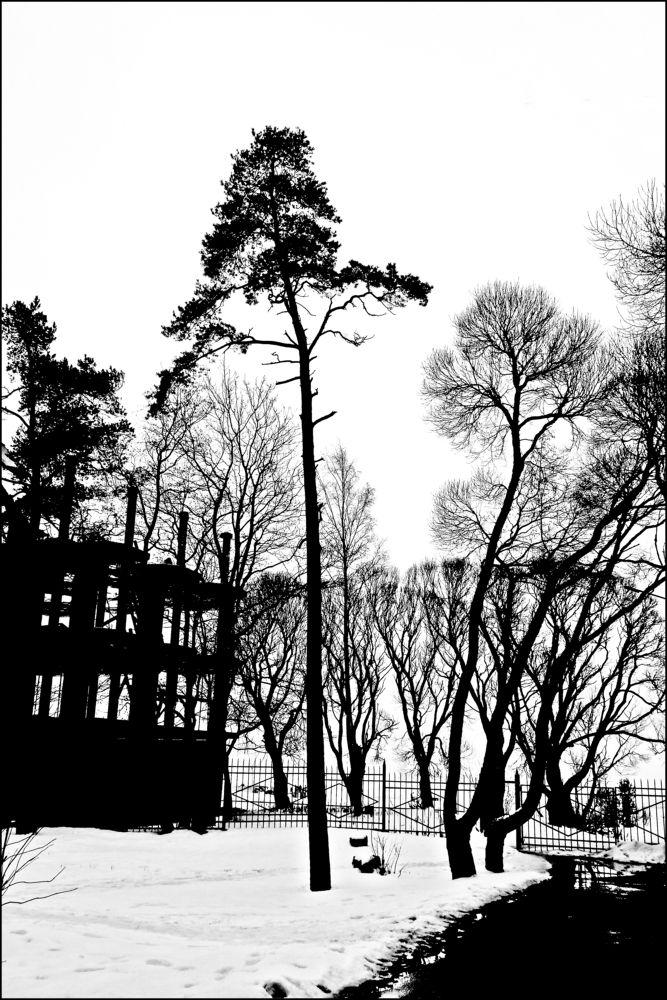 Photograph by Аркадий Попов