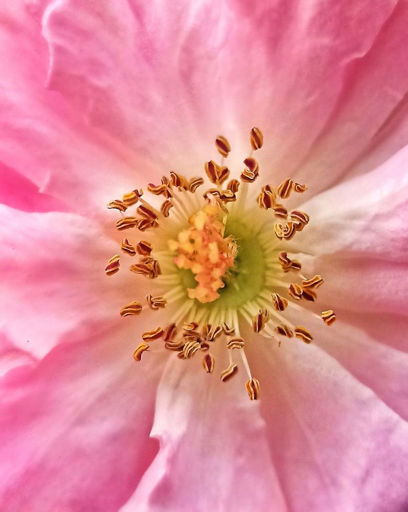 Photograph by Pon Malar