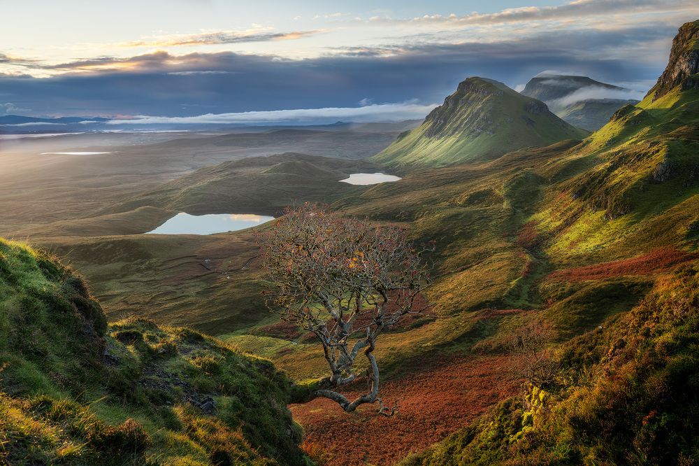 Photograph by Alex Mimo