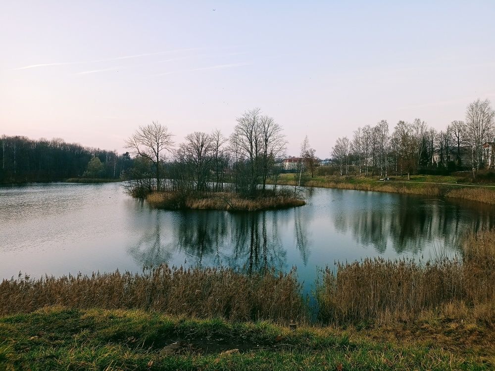 Остров на Чёрном озере