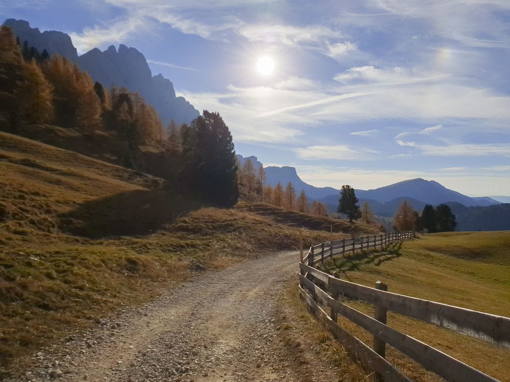 Photograph by Svetlana Zelyanina