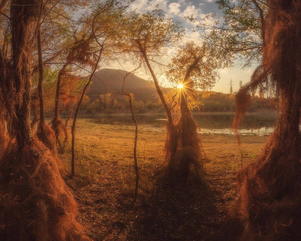 Photograph by Oleg Feofanov