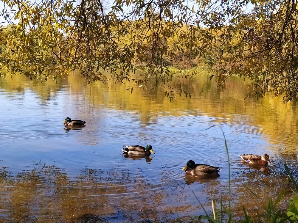 Photograph by Юлия Кулиева