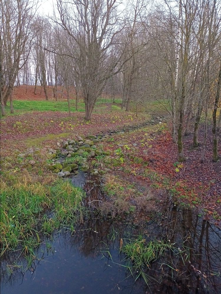 Photograph by Ирина