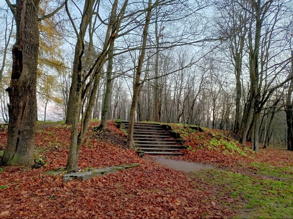 Photograph by Ирина