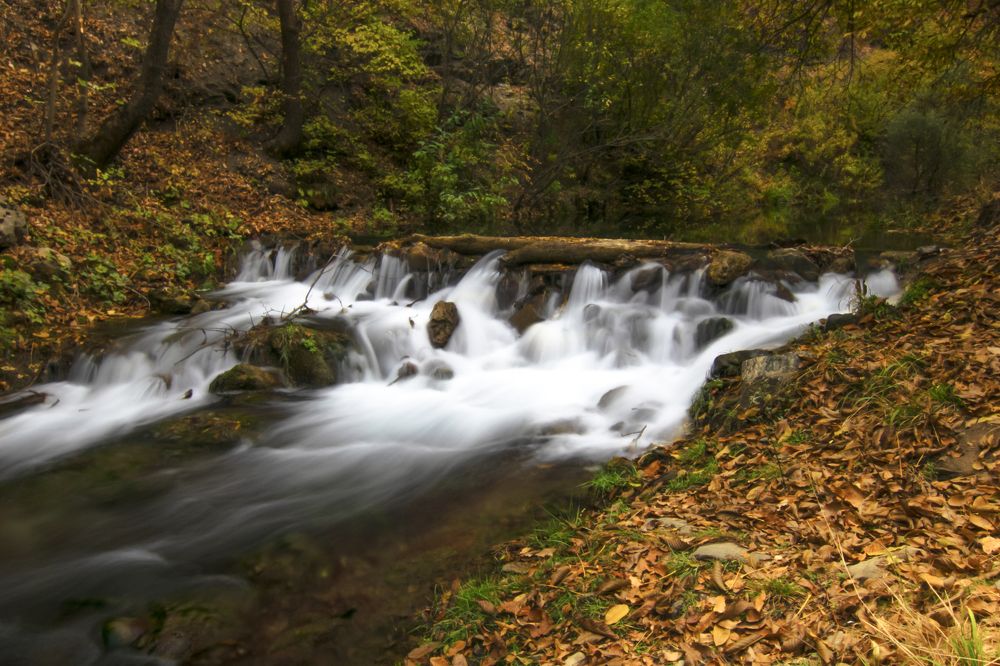 Фотография автора Alipour mohammad