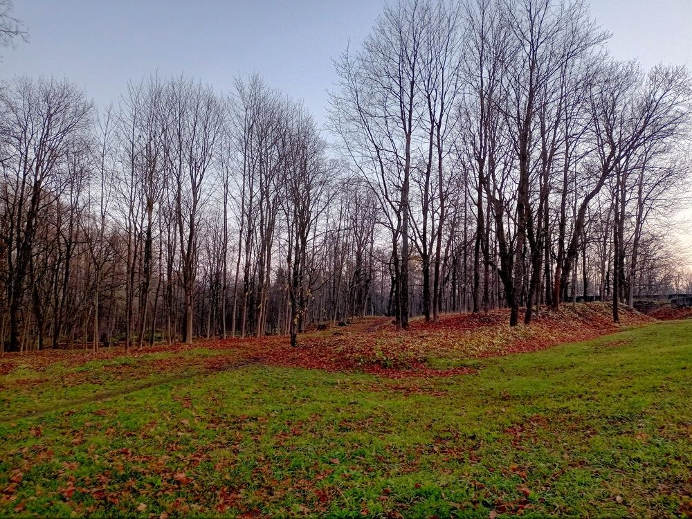 Photograph by Ирина