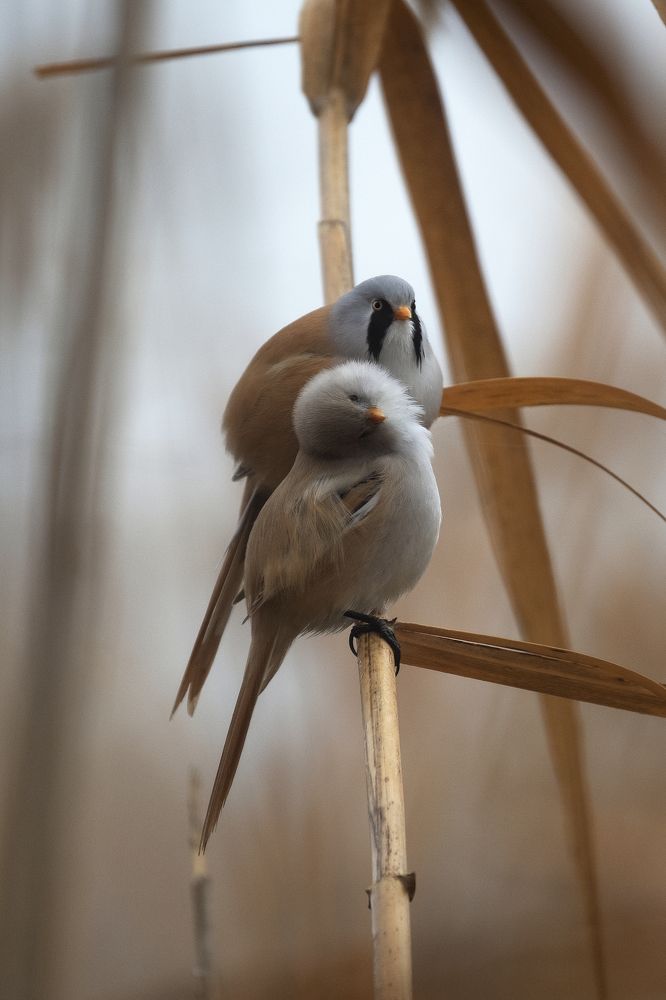 Photograph by Василий Дудин