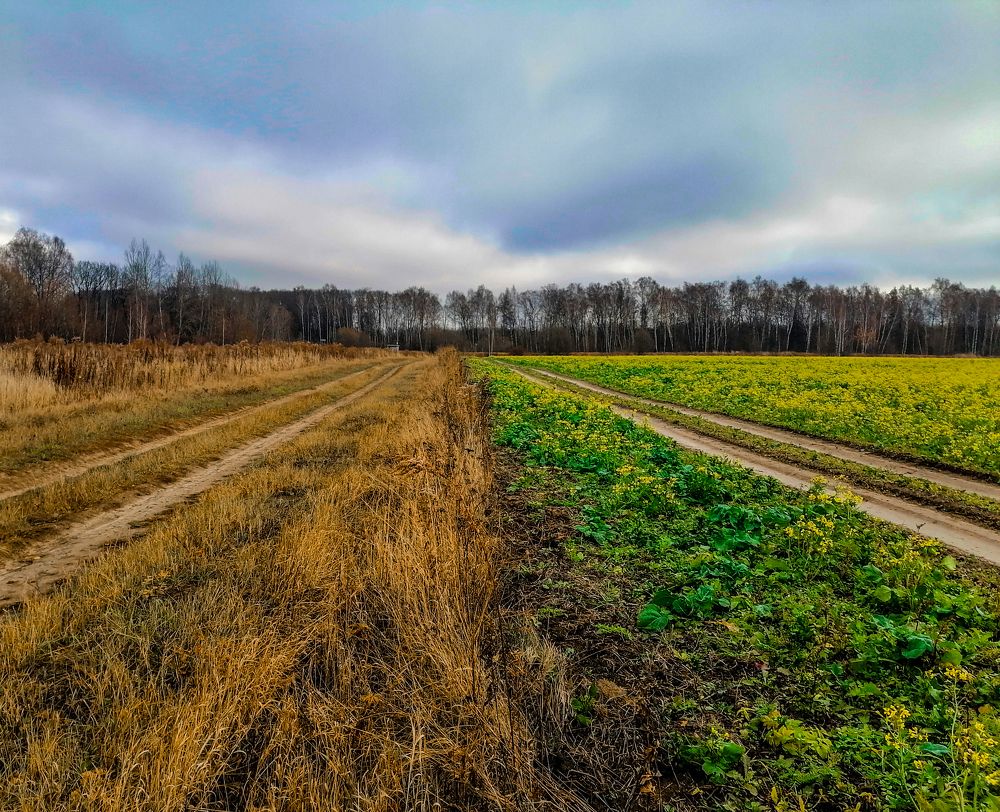 Photograph by Станислав Евсеев