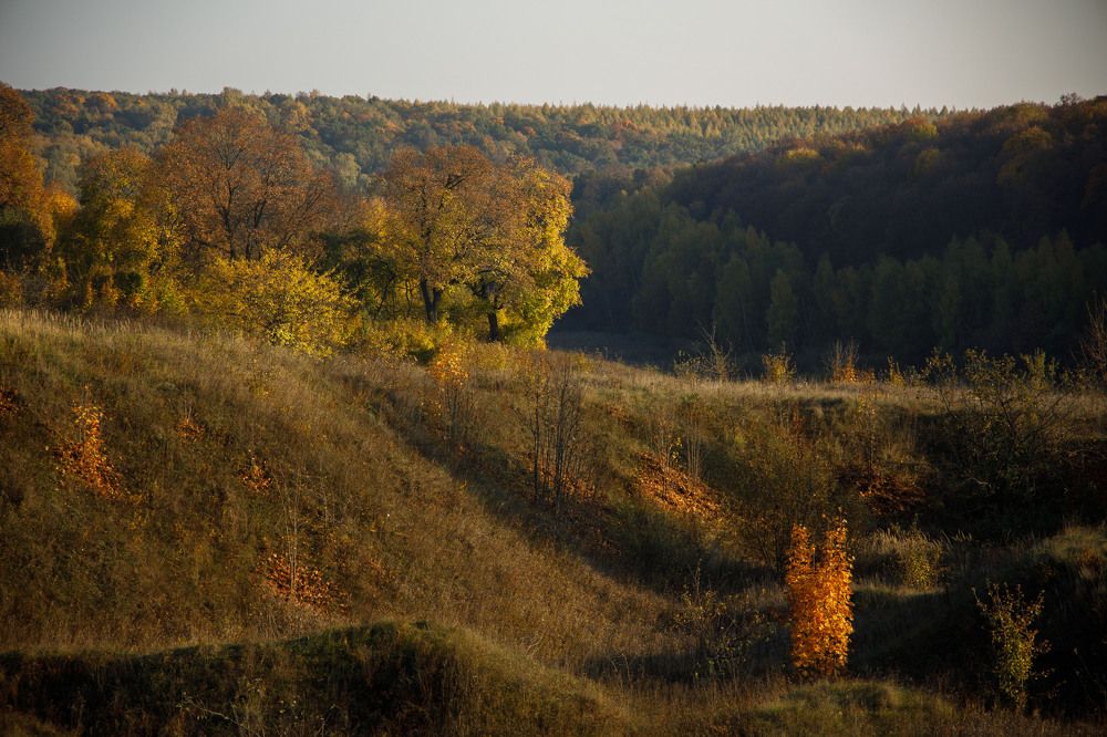 Photograph by Фёдор Передиреев