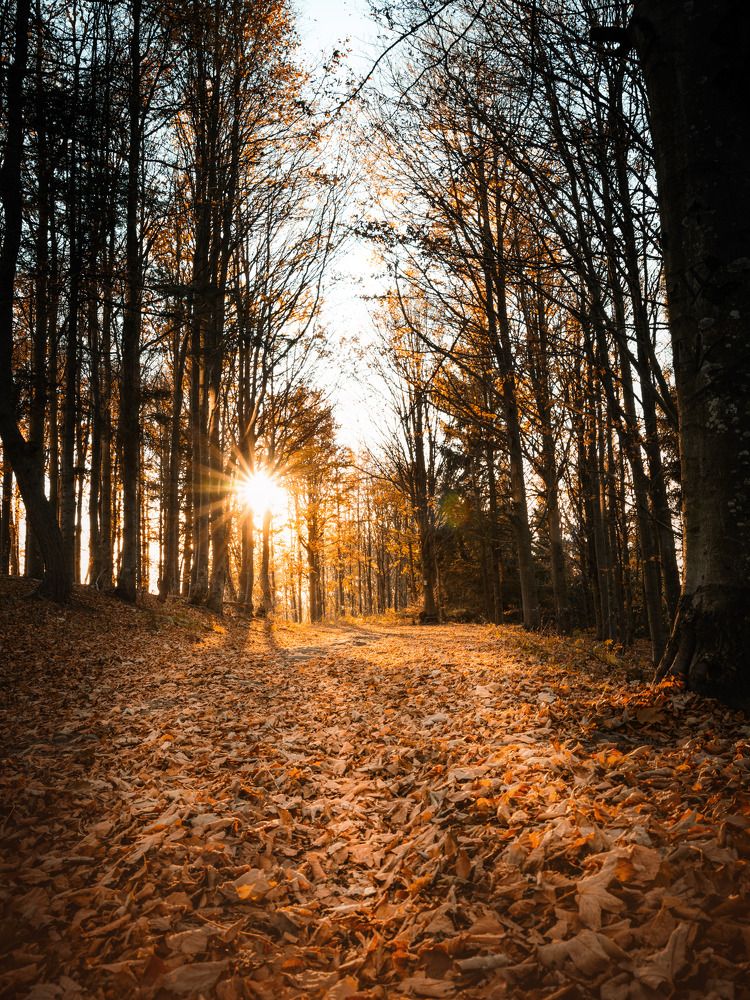 Photograph by Denisa Miazdrová