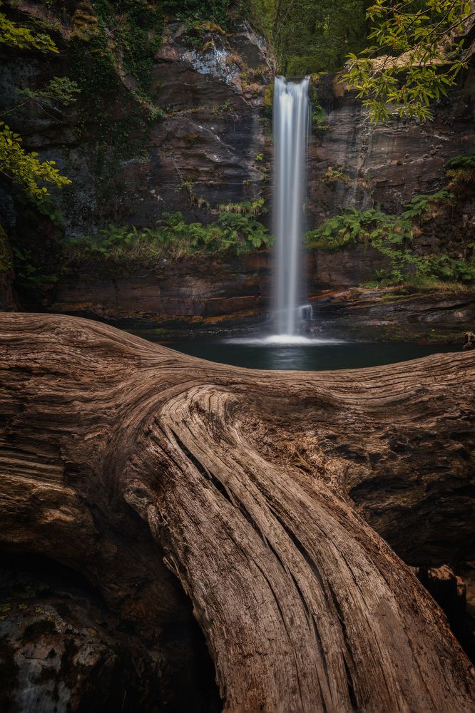 Photograph by Iglesias Miguel