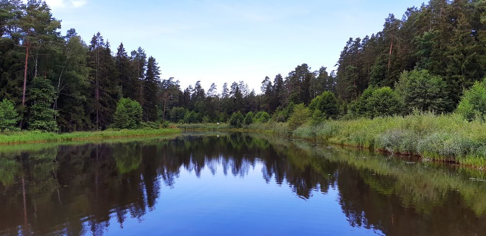 Фотография автора Александра Карпикова