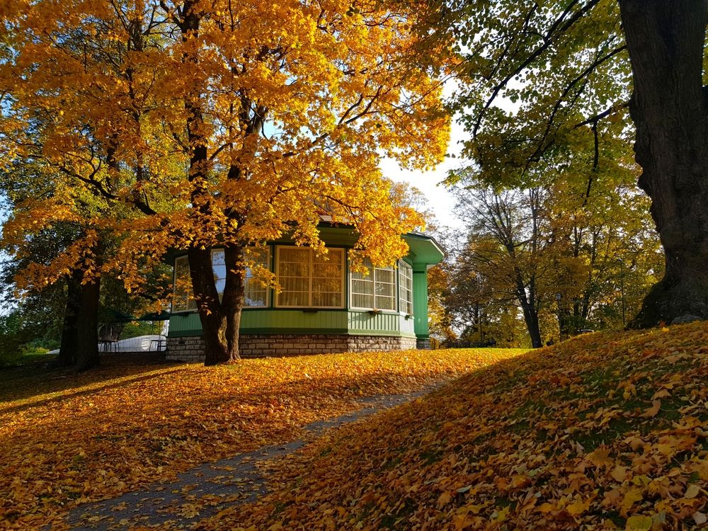 Photograph by Сергей Новиков