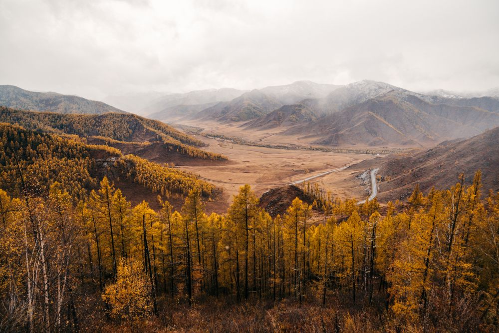 Photograph by Олег Гуляков