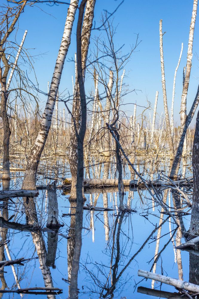 Photograph by Евгения Бочарова