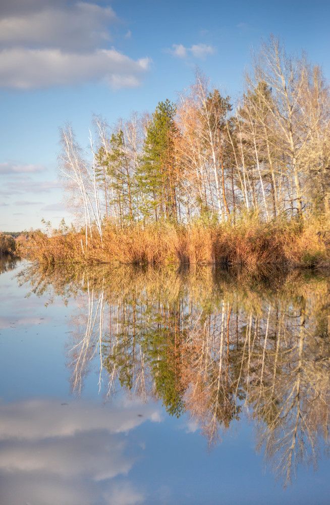 Photograph by Евгения Бочарова